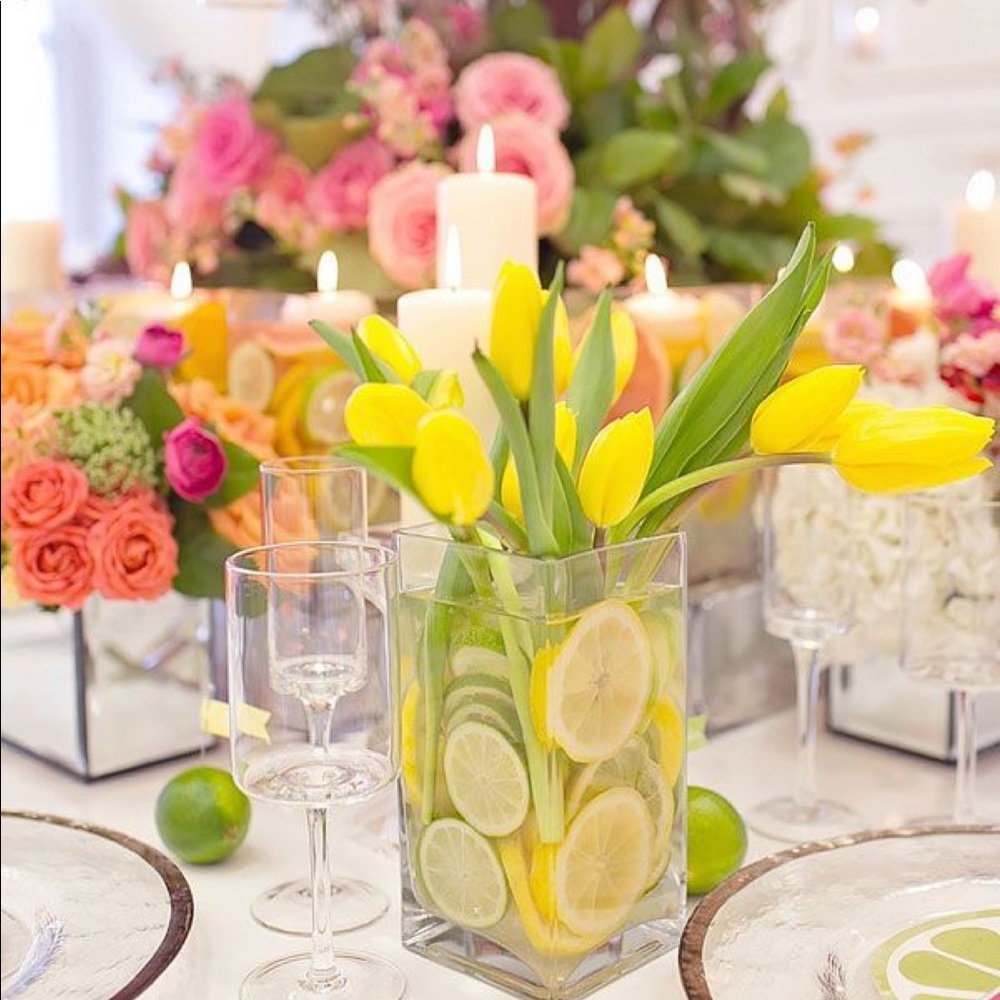 Meet your Posher, Shelby